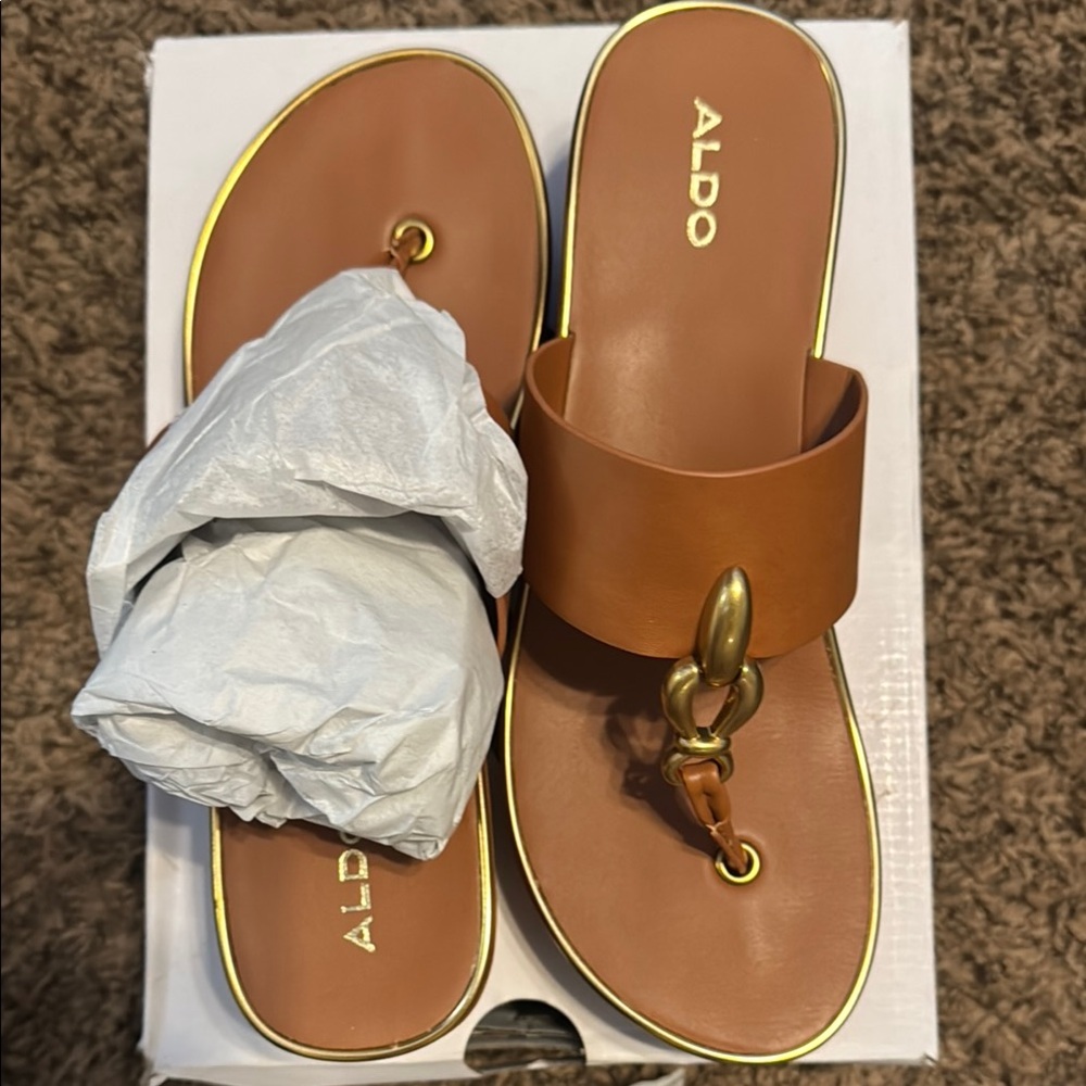 Aldo Brown Sandals with Gold Accent